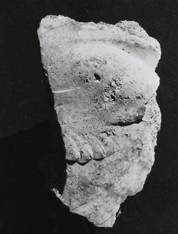 CA-STU-023-asf002631.jpg