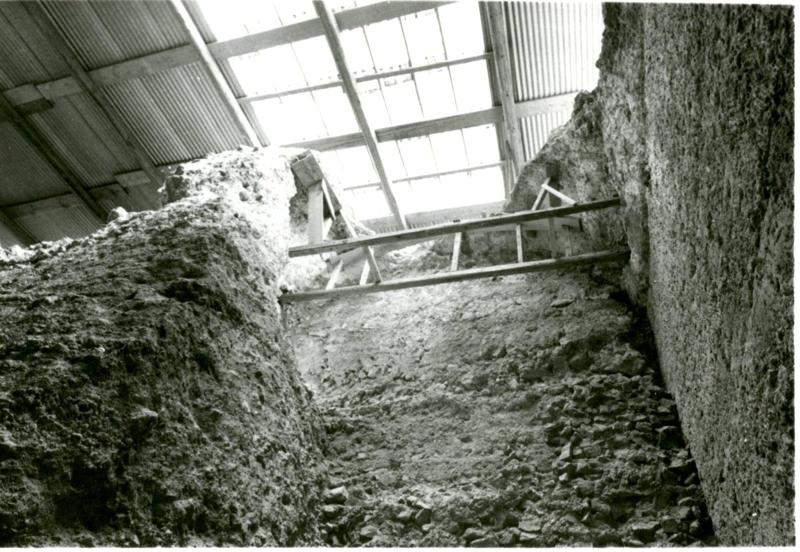 Casa di Augusto - CA-AC - 005-asf002163.jpg