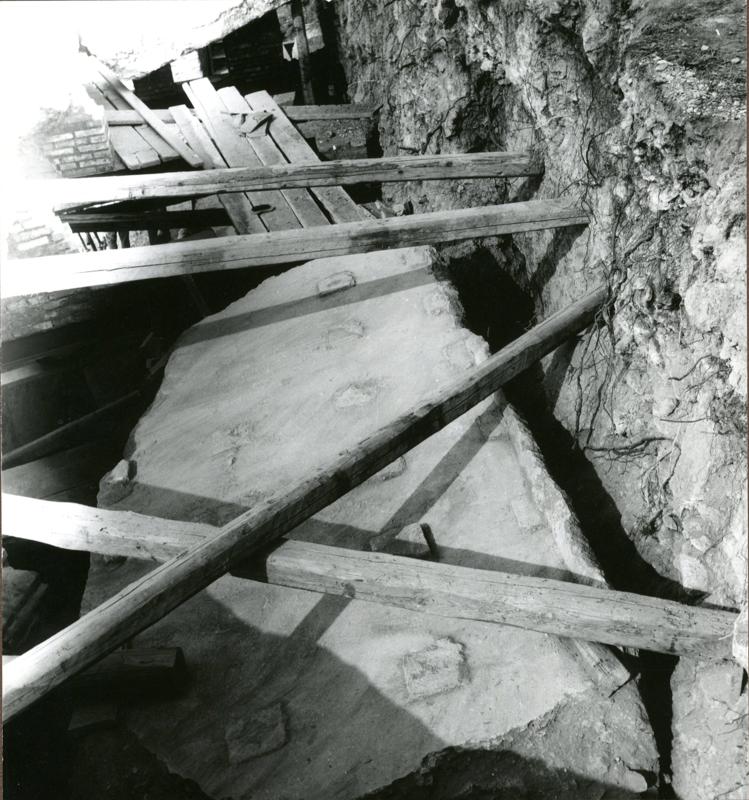 Casa di Augusto - CVC - 002-asf002228.jpg