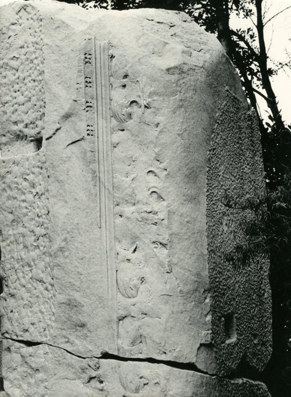 CA - S -006-asf002254.jpg