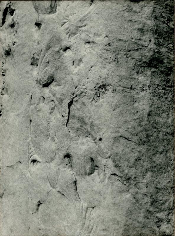 CA - S -008-asf002256.jpg