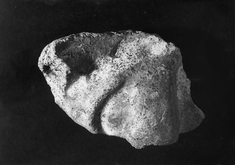 020782 - reperto - Frammento fittile; Neg. Serie film, Nr. 1854