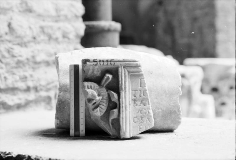 1-00001bis/ [non inventariato] - Roma - Antiquarium Forense (?)