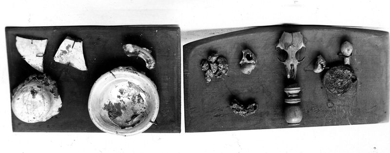 010220 - reperto - Oggetti dal Comizio; neg. serie F, n. 720