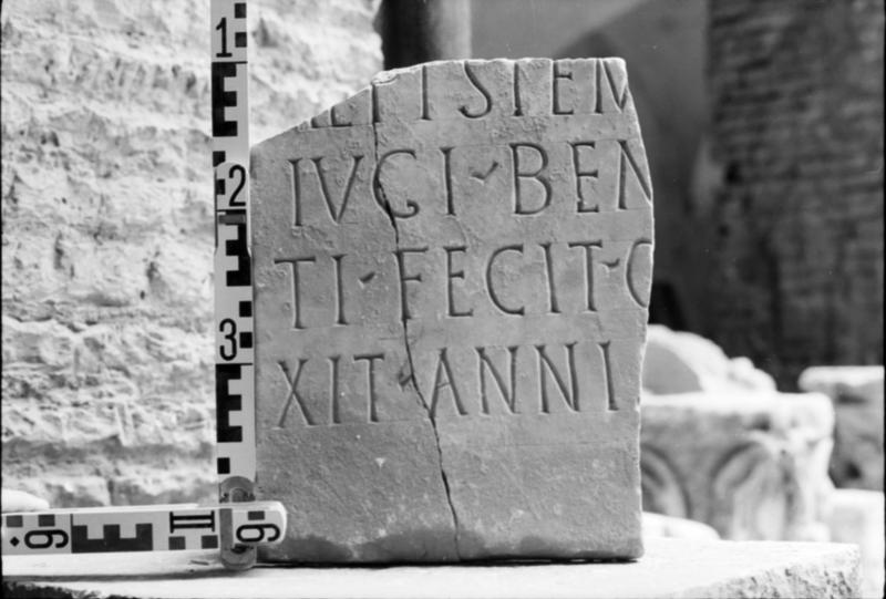 1-00001bis/ [non inventariato] - Roma - Antiquarium Forense (?)
