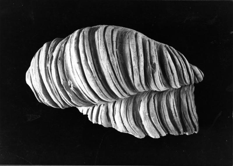 3 DT-SF-asf005363.jpg