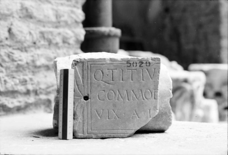 1-00001bis/ [non inventariato] - Roma - Antiquarium Forense (?)