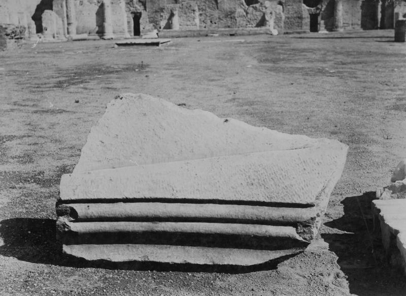 S-AM001-asf006280.jpg
