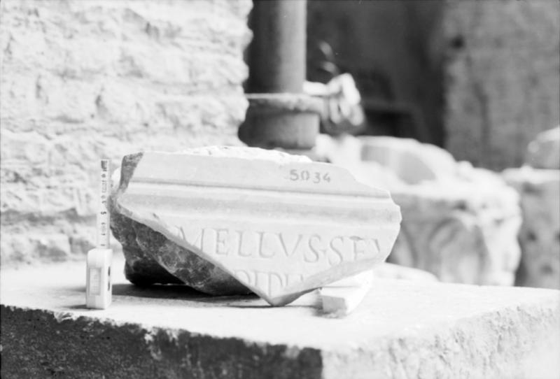 1-00001bis/ [non inventariato] - Roma - Antiquarium Forense (?)