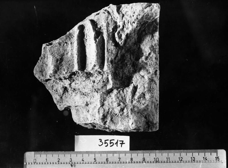 TMM - AF017-asf006458.jpg
