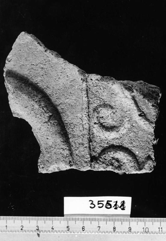 TMM - AF021-asf006465.jpg