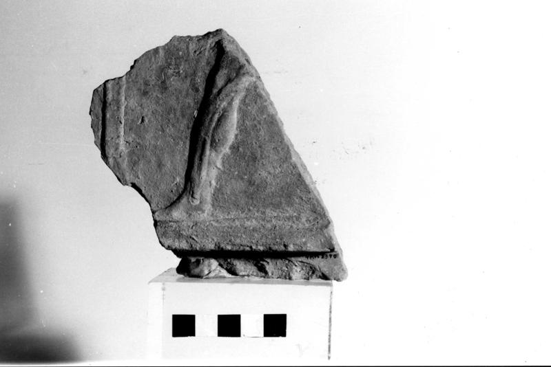 TMM - AF022-asf006467.jpg