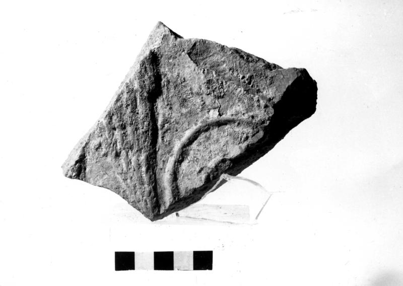 TMM - AF025-asf006473.jpg