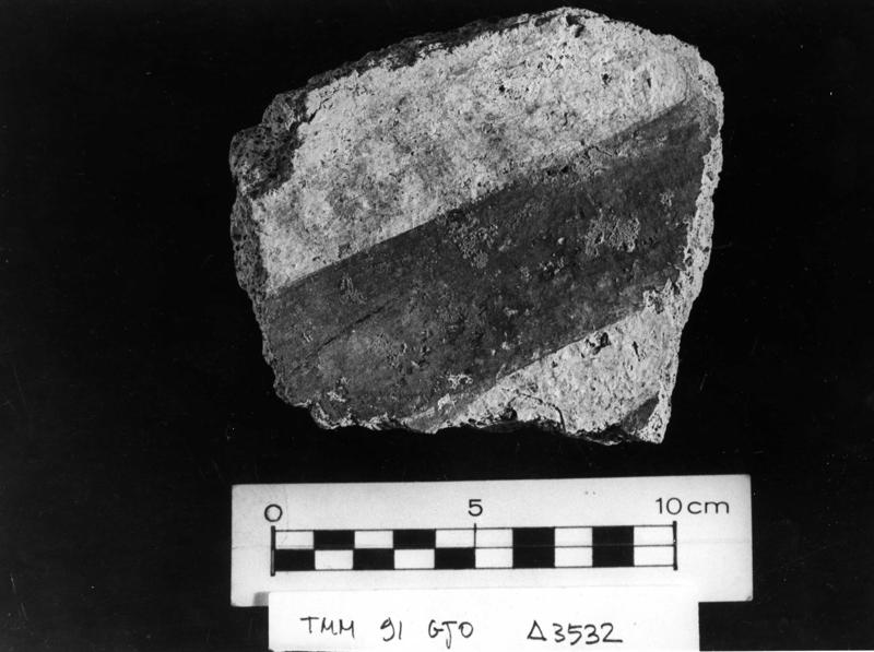 TMM - AF027-asf006477.jpg