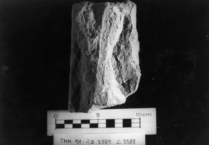 TMM - AF030-asf006483.jpg