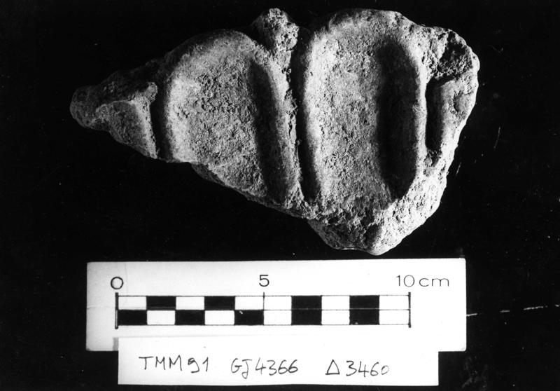 TMM - AF032-asf006487.jpg