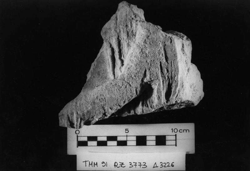 TMM - AF034-asf006491.jpg