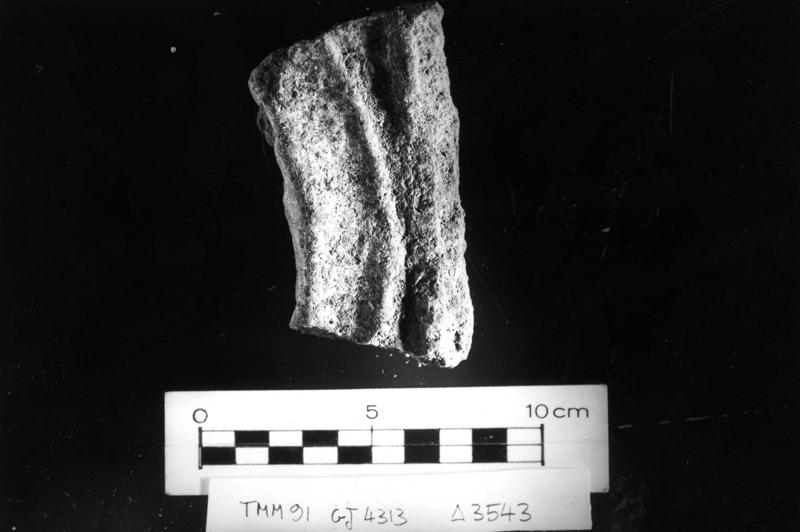 TMM - AF035-asf006493.jpg