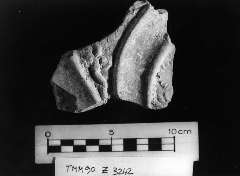TMM - AF043-asf006509.jpg