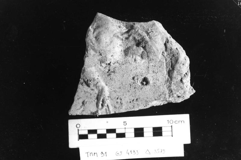 TMM - AF044-asf006512.jpg