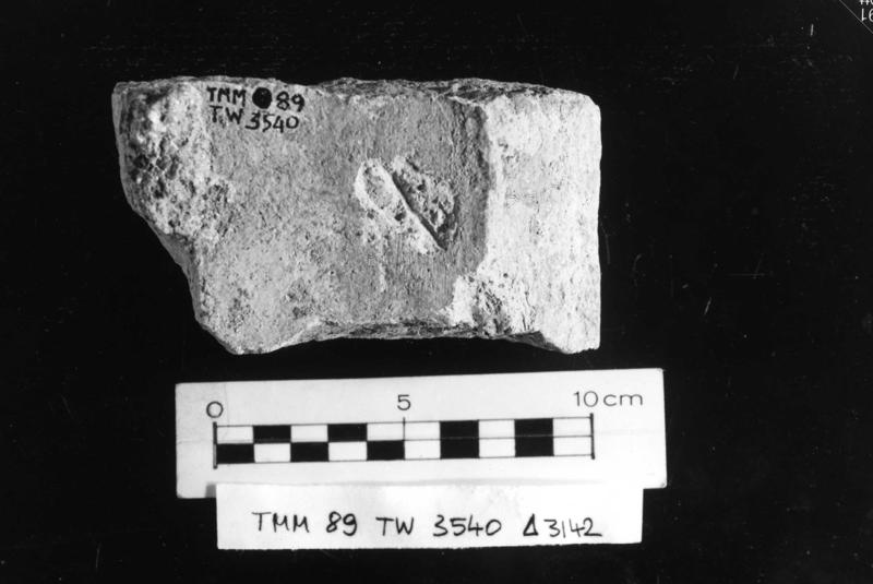 TMM - AF045-asf006515.jpg