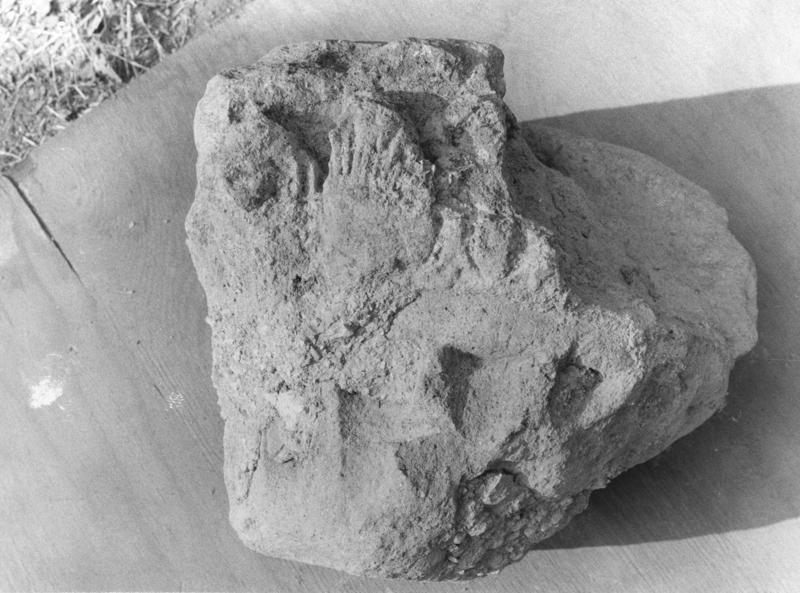 TMM-AM002-asf006518.jpg