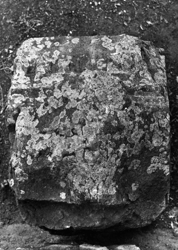 TMM-AM011-asf006528.jpg
