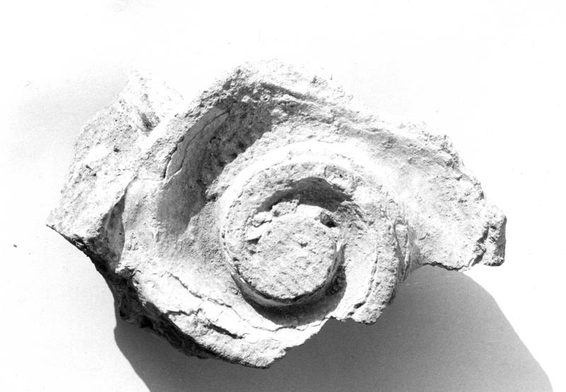 TMM-AM033-asf006555.jpg