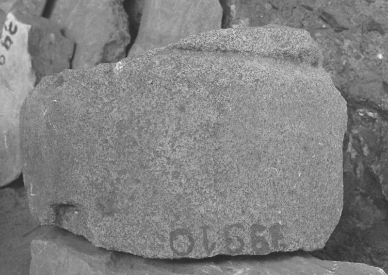 TMM-AM035-asf006559.jpg
