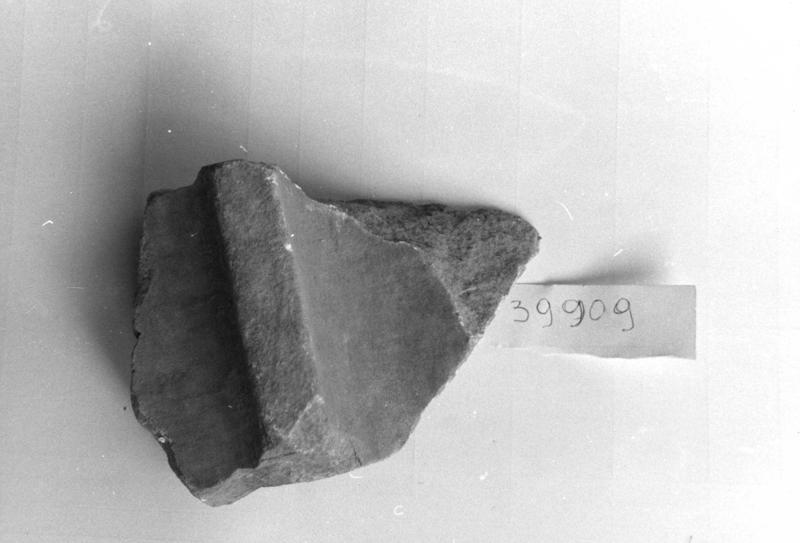 TMM-AM036-asf006561.jpg