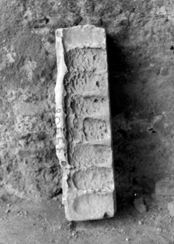 TMM-AM037-asf006563.jpg