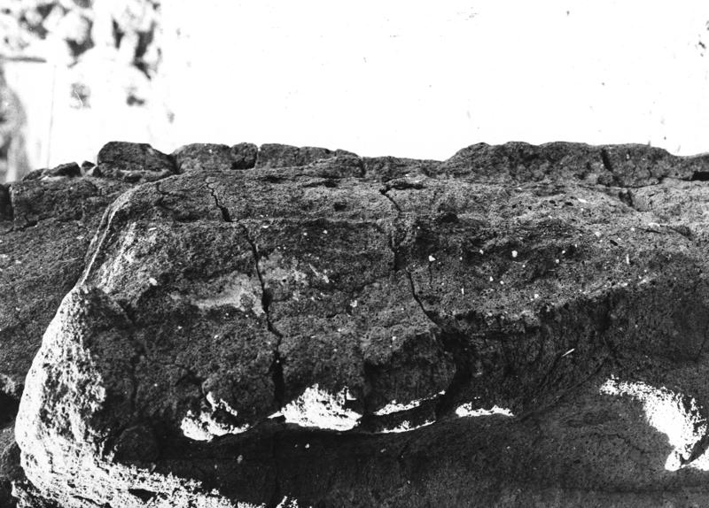 TMM-AM043-asf006574.jpg