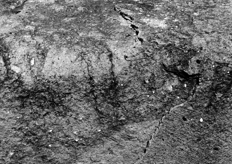 TMM-AM045-asf006578.jpg