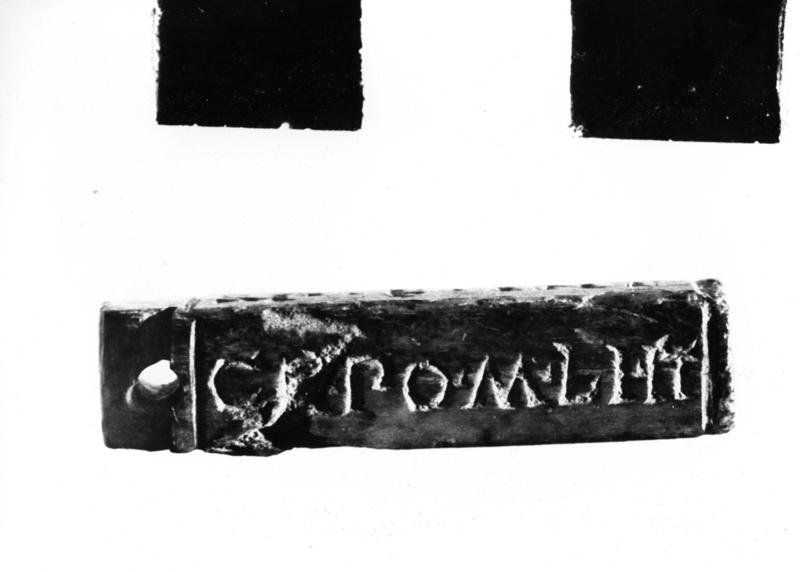 TMM-AV001-asf006588.jpg