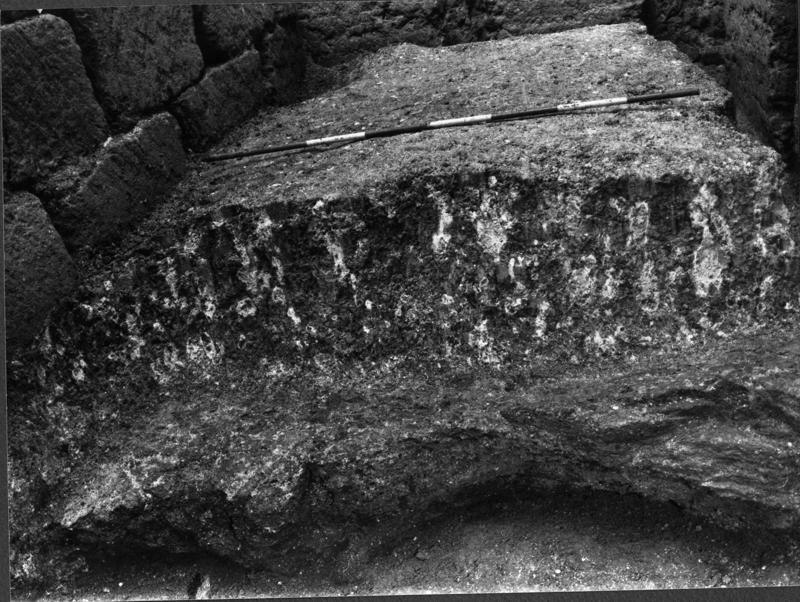 TMM - A008-asf006587.jpg