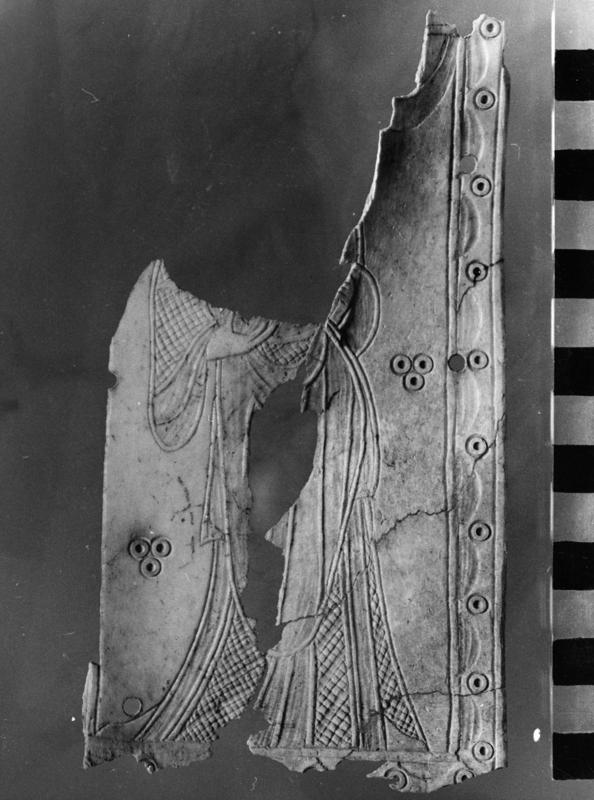 TMM-AV006-asf006593.jpg