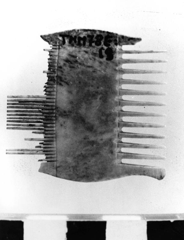 TMM-AV007-asf006594.jpg