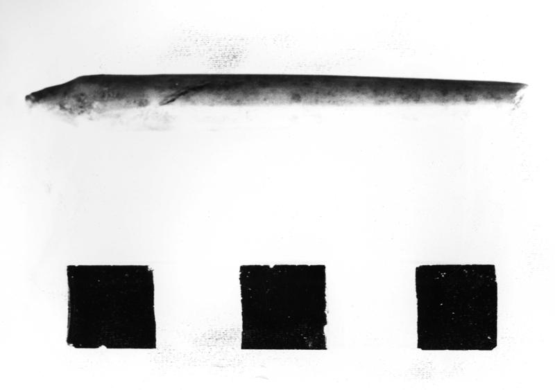 TMM-AV008-asf006595.jpg