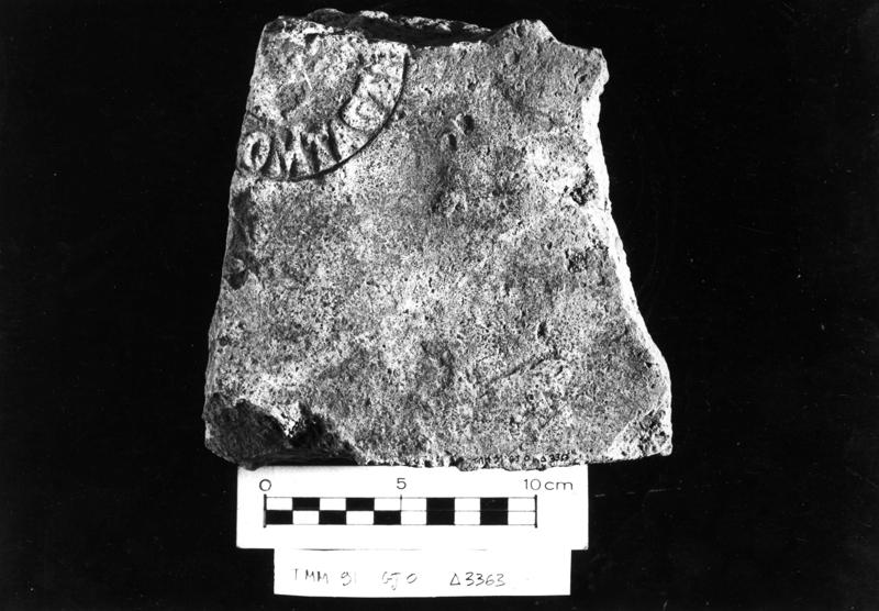 TMM-BL001-asf006613.jpg