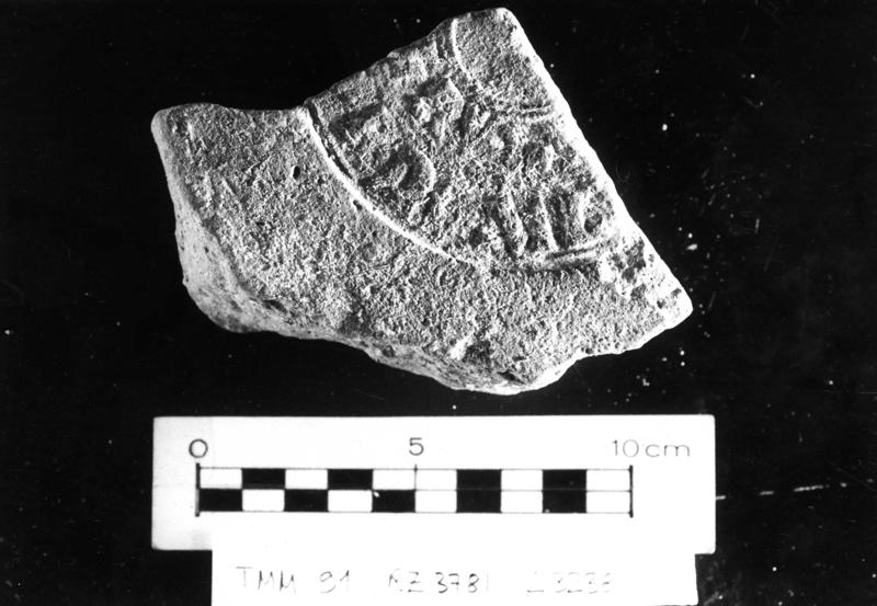 TMM-BL003-asf006617.jpg