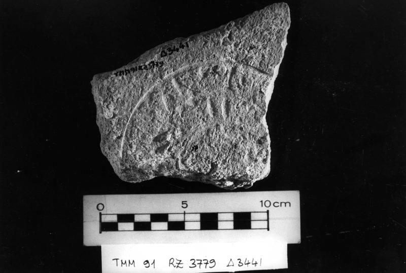 TMM-BL004-asf006619.jpg