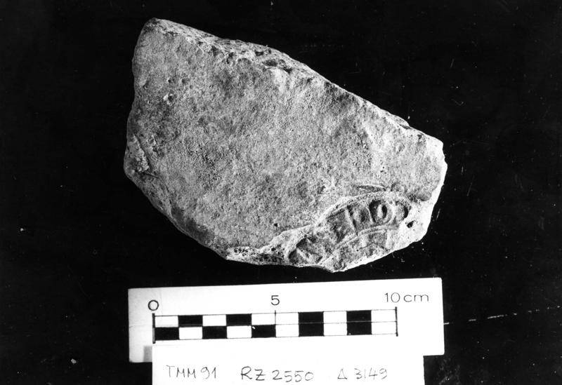 TMM-BL005-asf006621.jpg