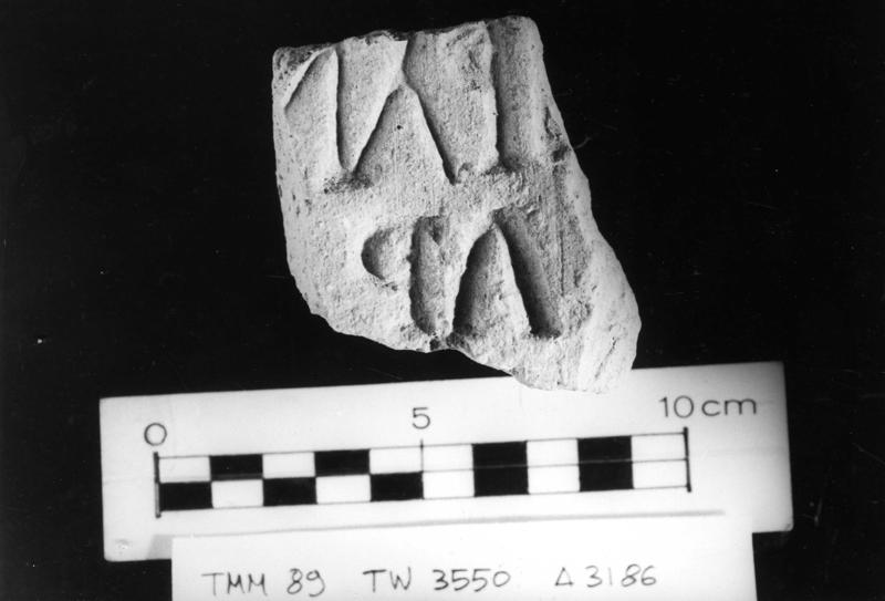 TMM-BL007-asf006624.jpg