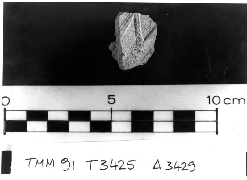 TMM-BL008-asf006626.jpg