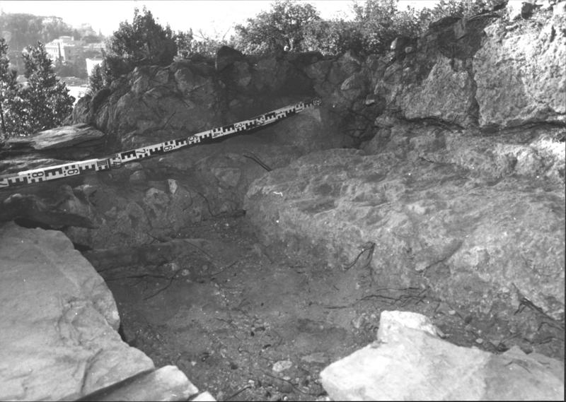 TMM - CT005-asf006634.jpg