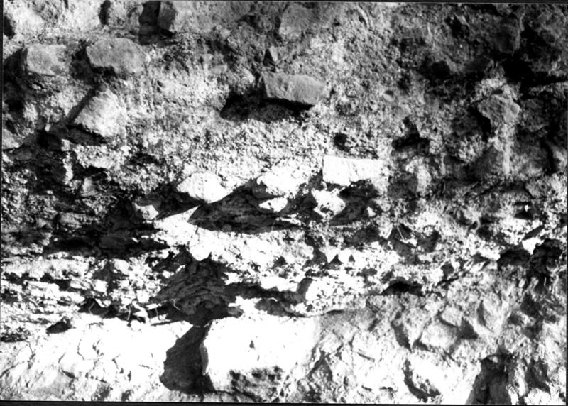 TMM - CT009-asf006642.jpg