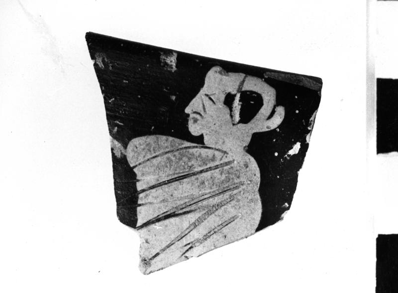 TMM-C002-asf006647.jpg
