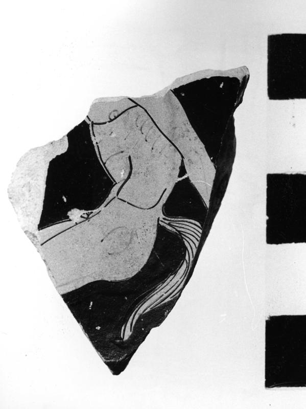 TMM-C004-asf006649.jpg