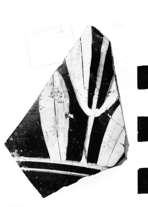 TMM-C006-asf006651.jpg