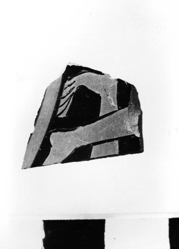 TMM-C008-asf006653.jpg